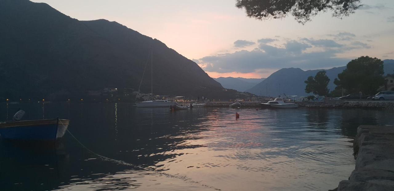 Garden Apartmant Near Sea Kotor Kültér fotó